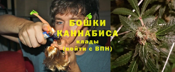 ECSTASY Лиски