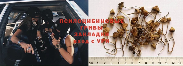 ECSTASY Лиски