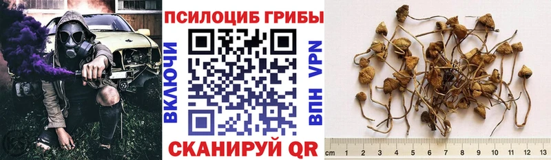Галлюциногенные грибы MAGIC MUSHROOMS Купить Ладушкин